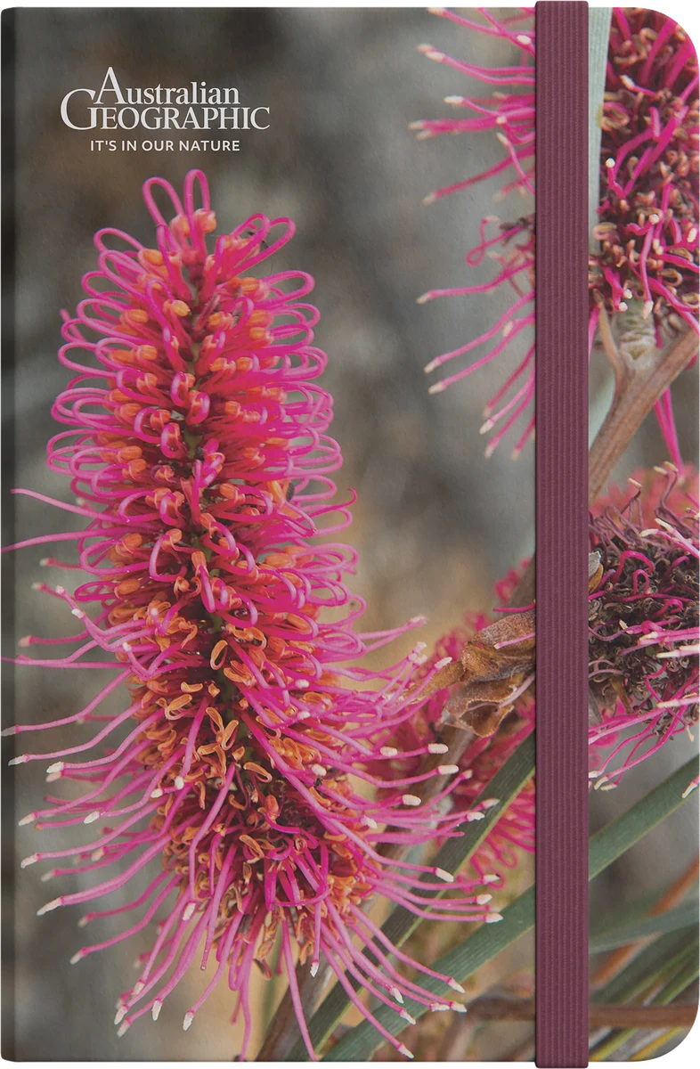 Australian Geographic A5 Hardcover Notebook - Pink