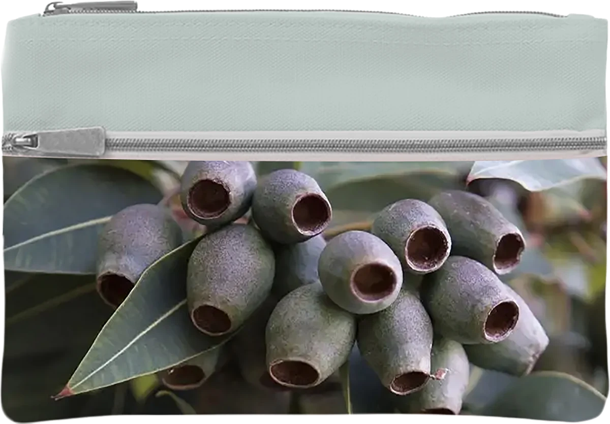 Australian Geographic Pencil Case - Green